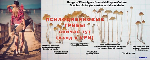 эйфоретик Балахна