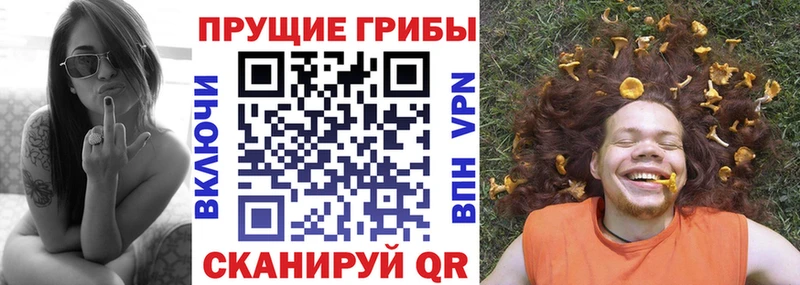 MEGA сайт  Бобров  Псилоцибиновые грибы Cubensis 